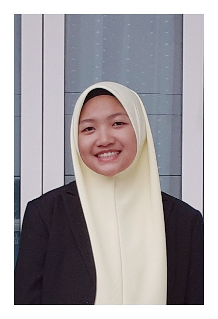AINA FARAHIN BINTI AHMAD ROZMAN